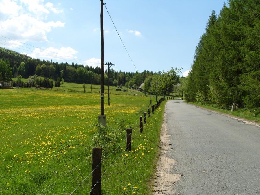 Widok dalszej części drogi podczas podjazdu na szczyt w stronę Lądka.