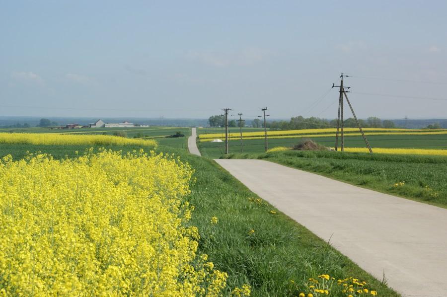 Pierwszy raz jechałem betonową drogą pomiędzy Zimną Wódką a Ujazdem