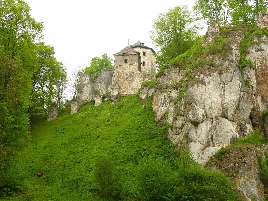 Zamek w Ojcowie