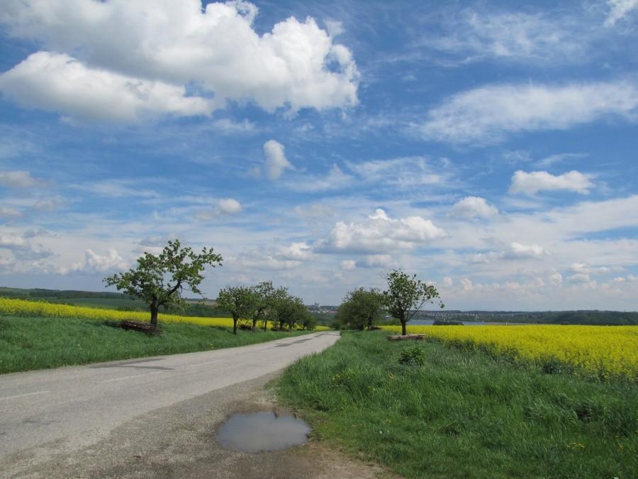 Wzgórze między Jilesovicami a Hej ve Slezsku
