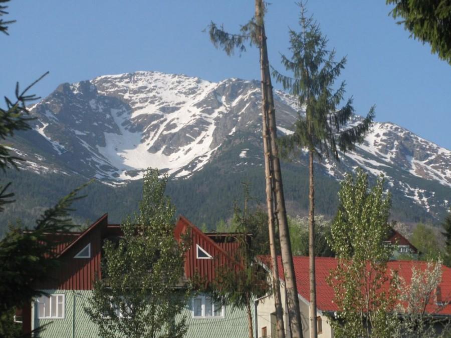 Pietrosul 2303 m. n.p.m.