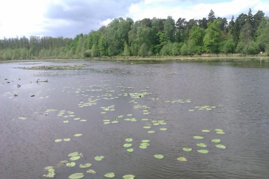 Zalew w Krakowianach