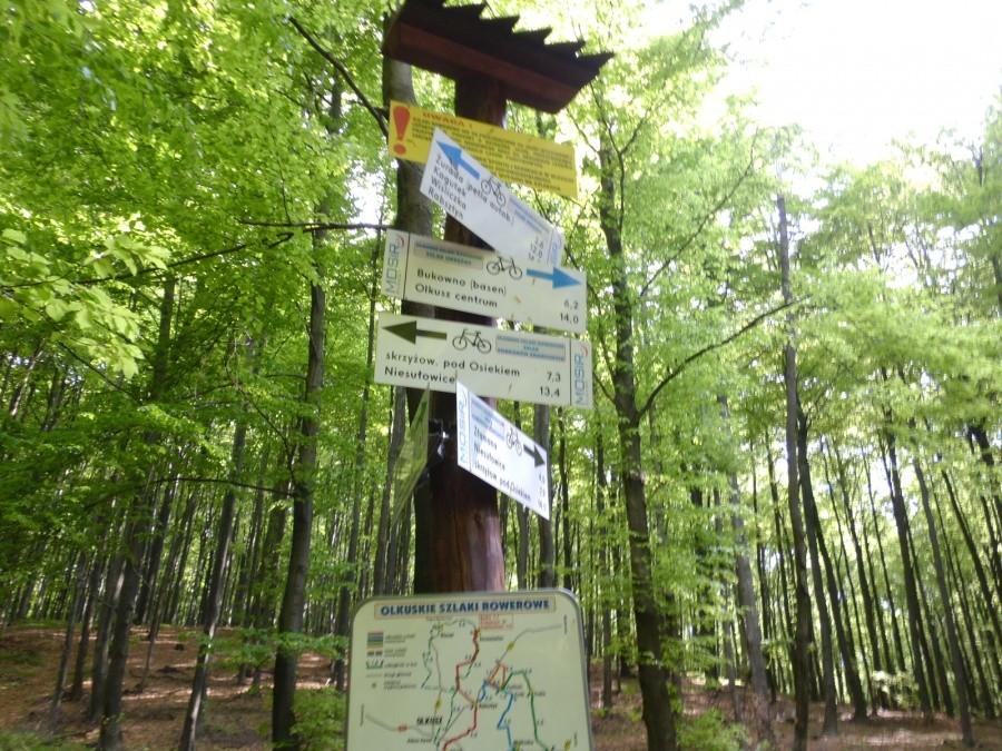 Rozwidlenie Olkuskich szlaków