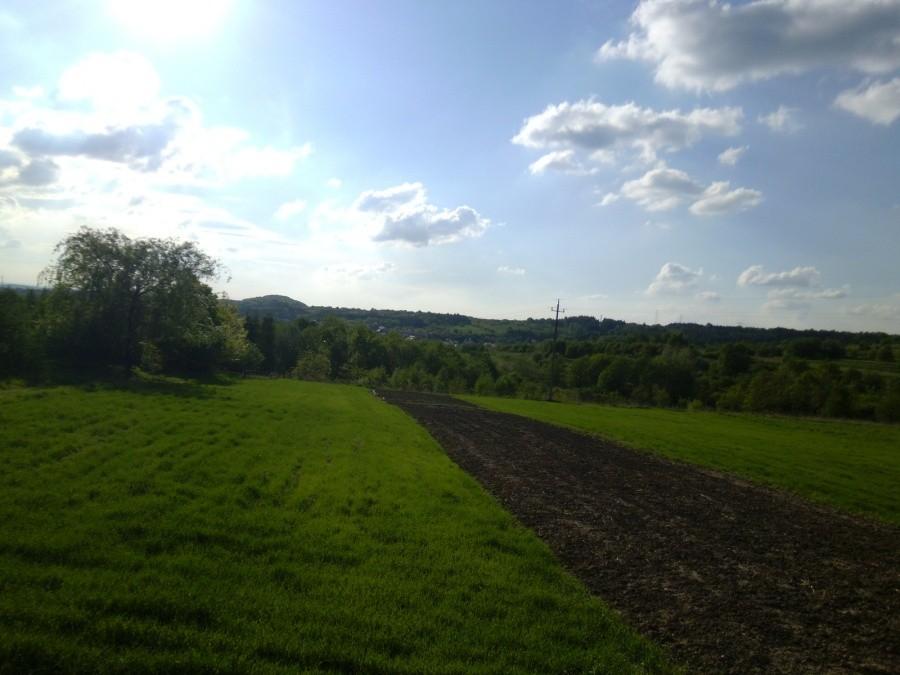 Blue sky - nic więcej nie trzeba
