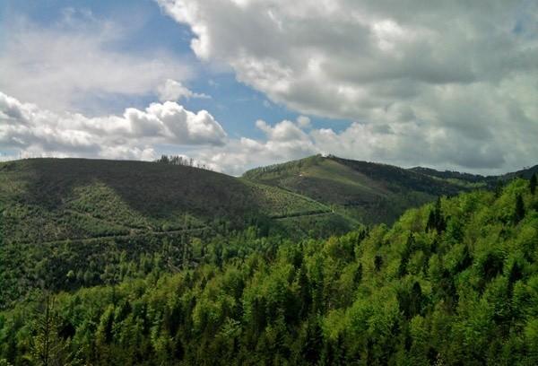 Przystanek