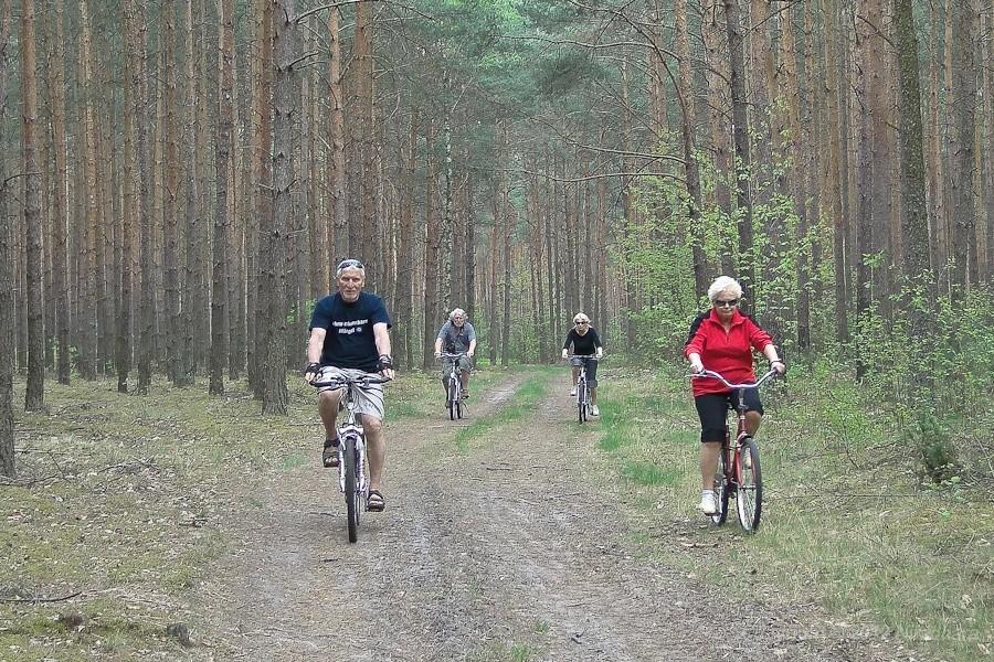 jedziemy nad Pilicę