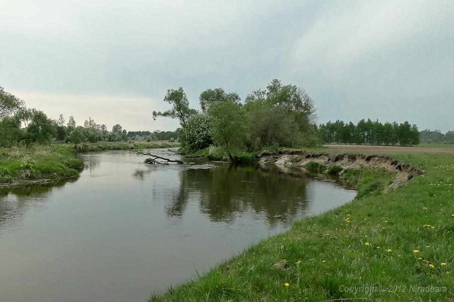 Pilica w całej krasie