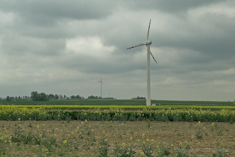 kraina wiatraków