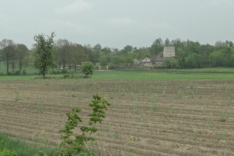 piec wapienniczy