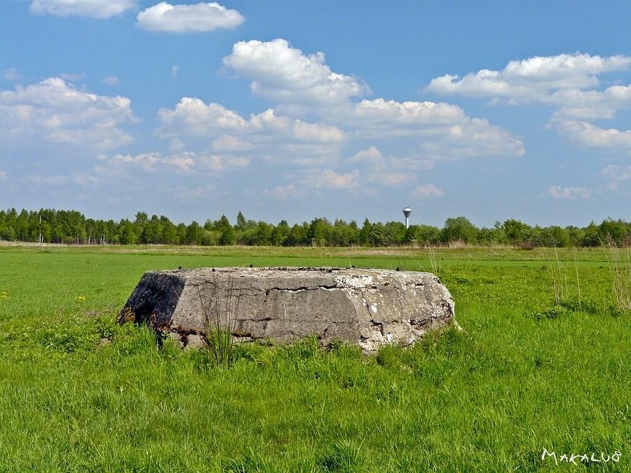 Fundament radaru FuMG-65 Würzburg-Riese koło Woźnik