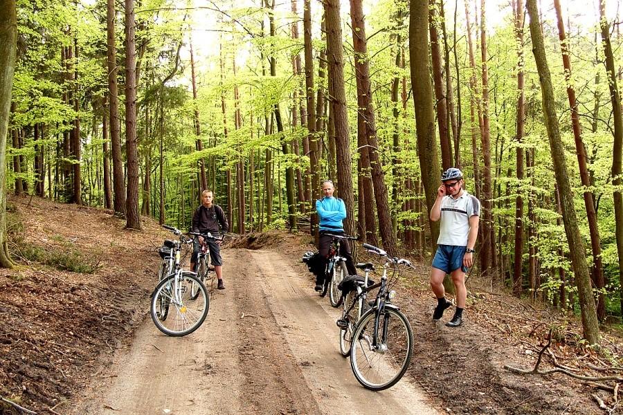 Wracamy do domu – okolice Wędków