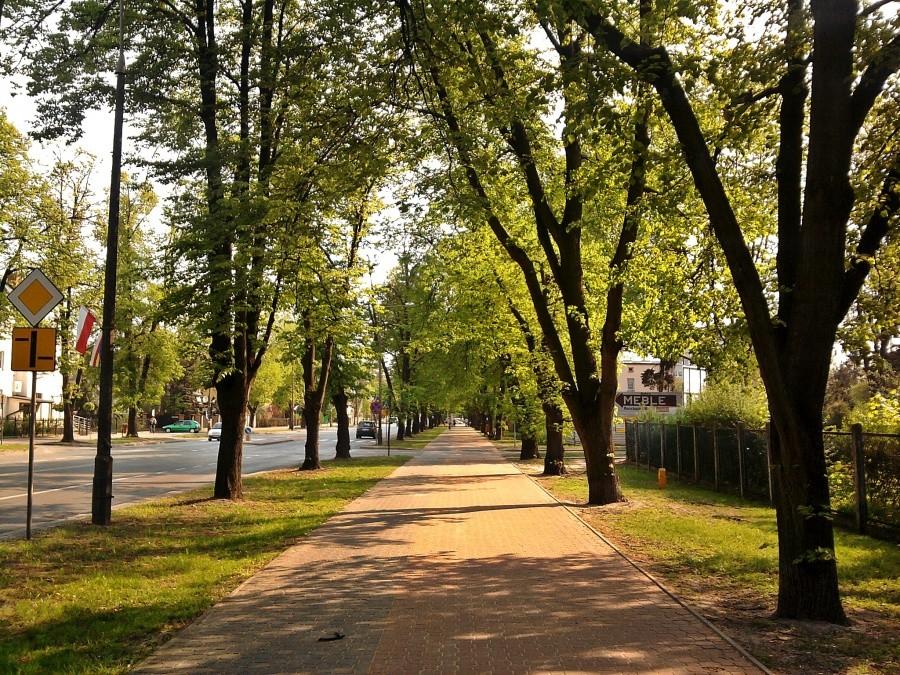 W łikend majowy też trzeba chodzić do pracy