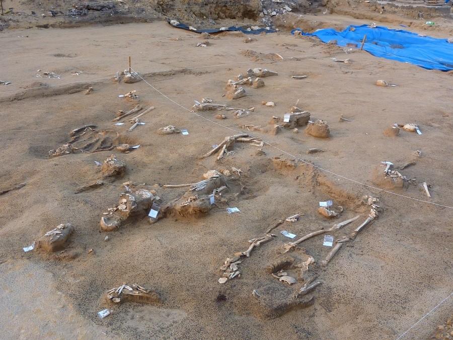 Badania archeologiczne pod olsztyńskim zamkiem.