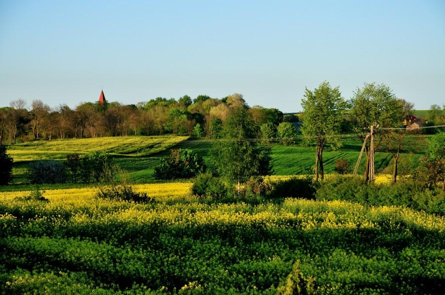 Widok z okna