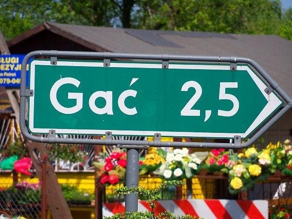 Gać