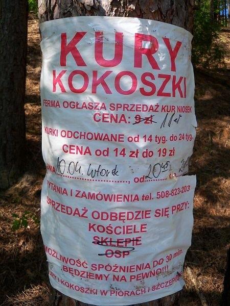 Może kokoszkę? ;)