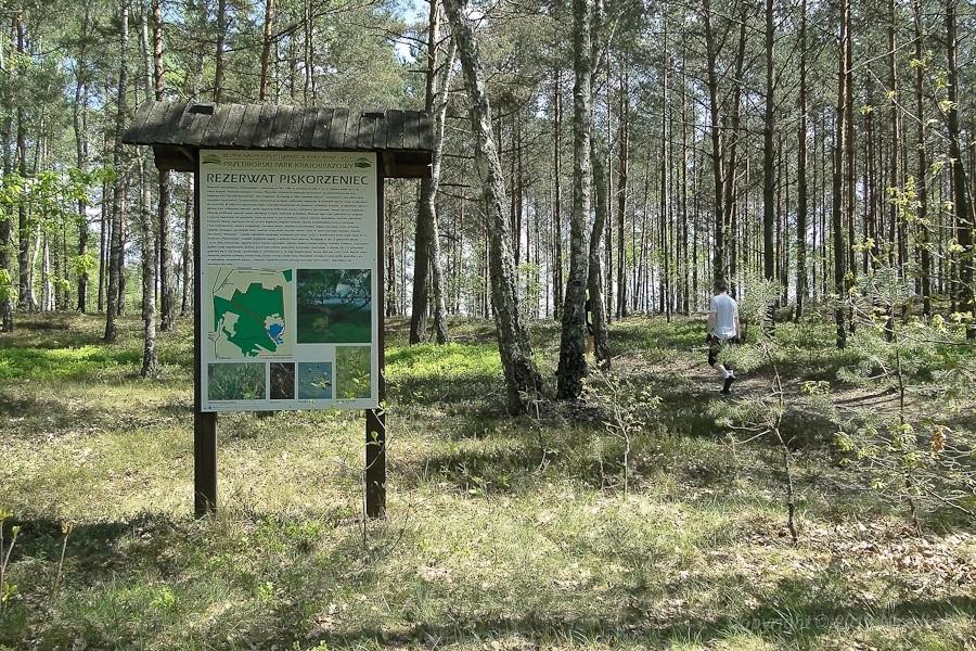 rezerwat Piskorzeniec