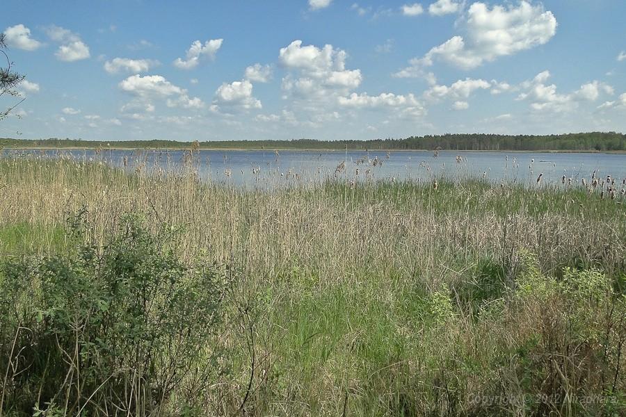 staw Piskorzeniec