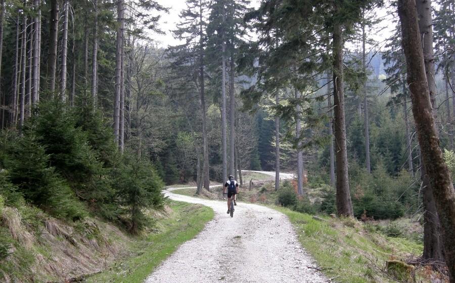 Podjazd niebieskim na Śnieżnik ...