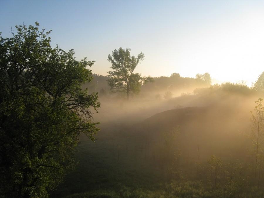 Poranna mgła