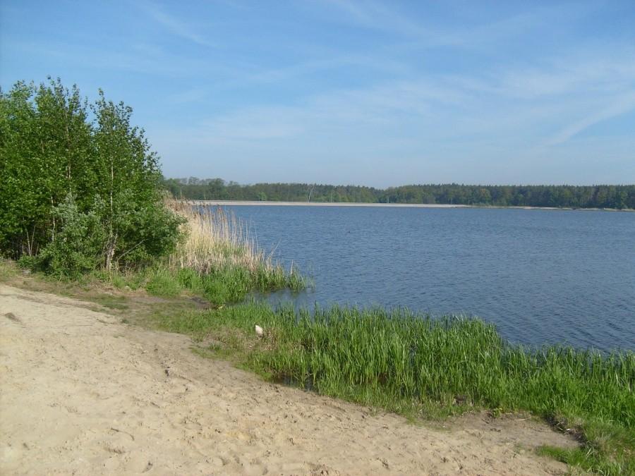 Brzeg zbiornika w Murowańcu