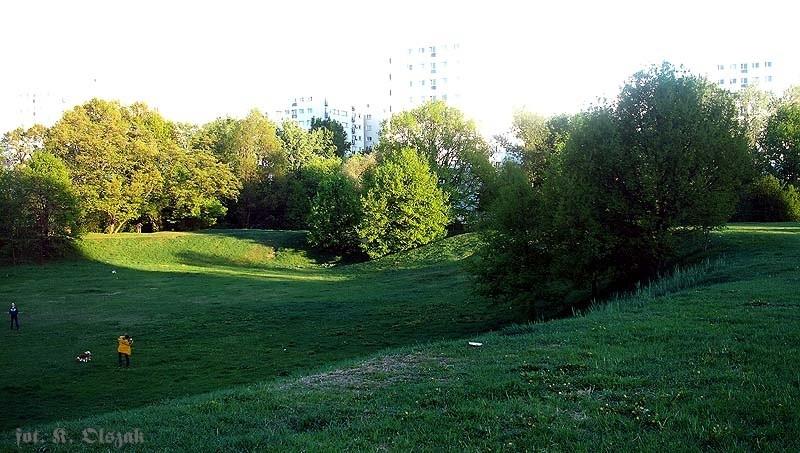 Dzieło flankujące pośrednie Buraków (1)