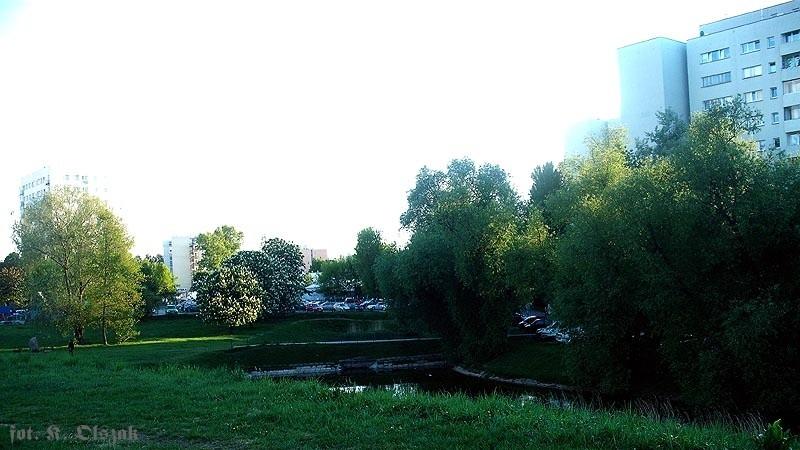 Dzieło flankujące pośrednie Buraków (2)