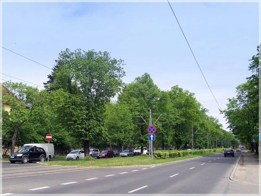 Korek na ul. Ku Słońcu.