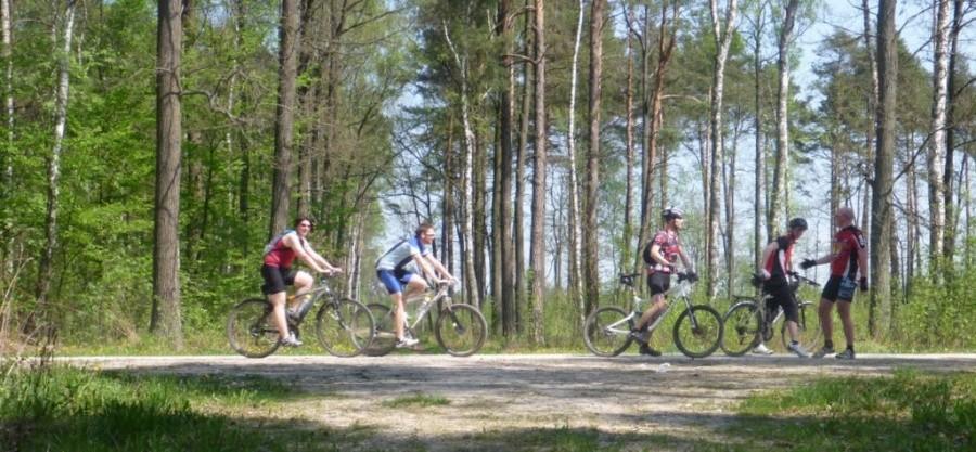 Jadą od lewej do prawej czyli prawidłowo.