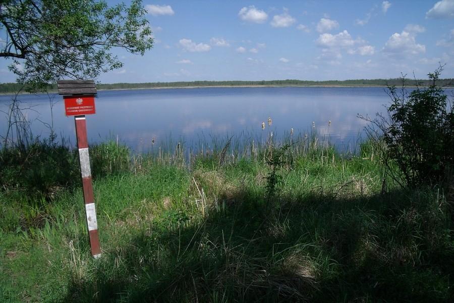 Tu jest ładnie