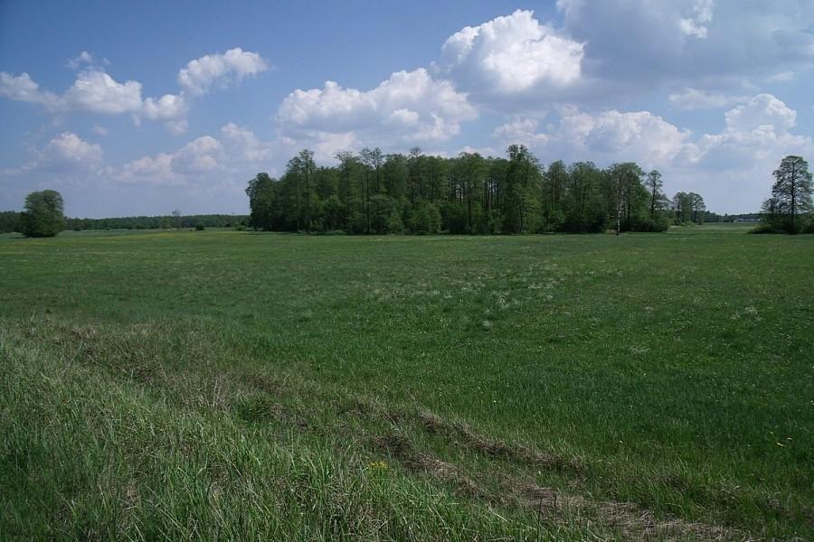 Widoczek z drogi