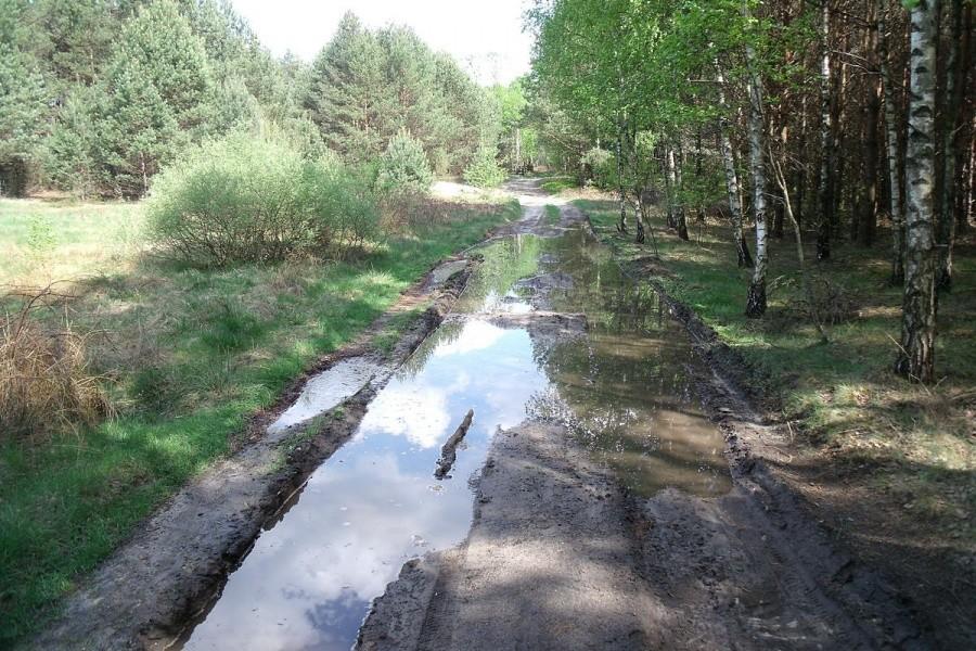 Fajna droga terenowa
