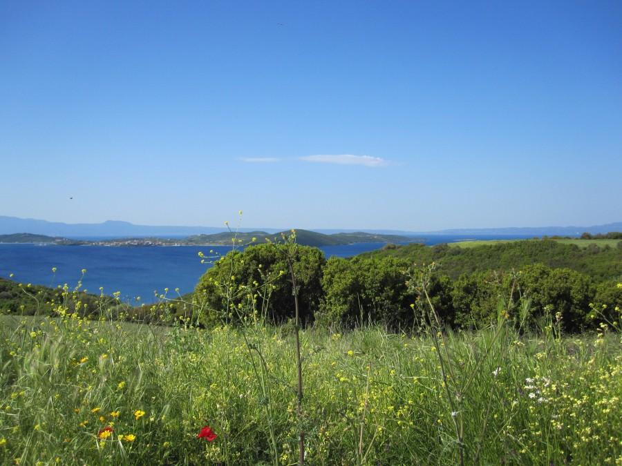 Grecja - widok na morze
