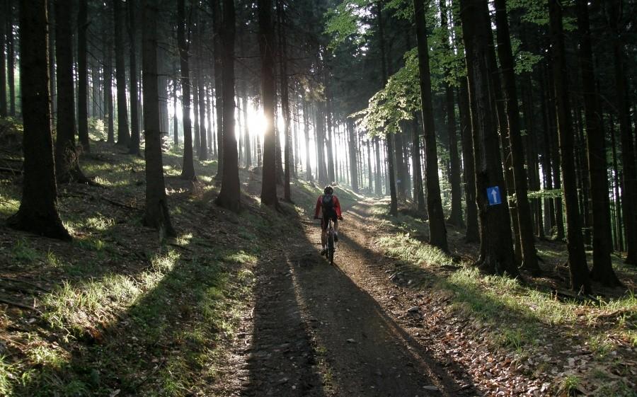 Klimatyczna wspinaczka na Jawornik Wielki