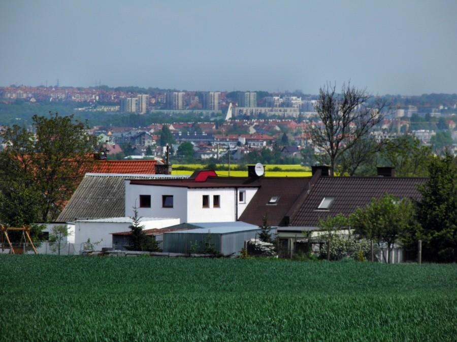 Widok na Szczecin z drogi łączącej Warnik i Będargowo.