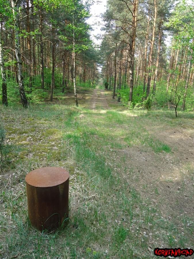Takich metalowych elementów było więcej ale co to jest?
