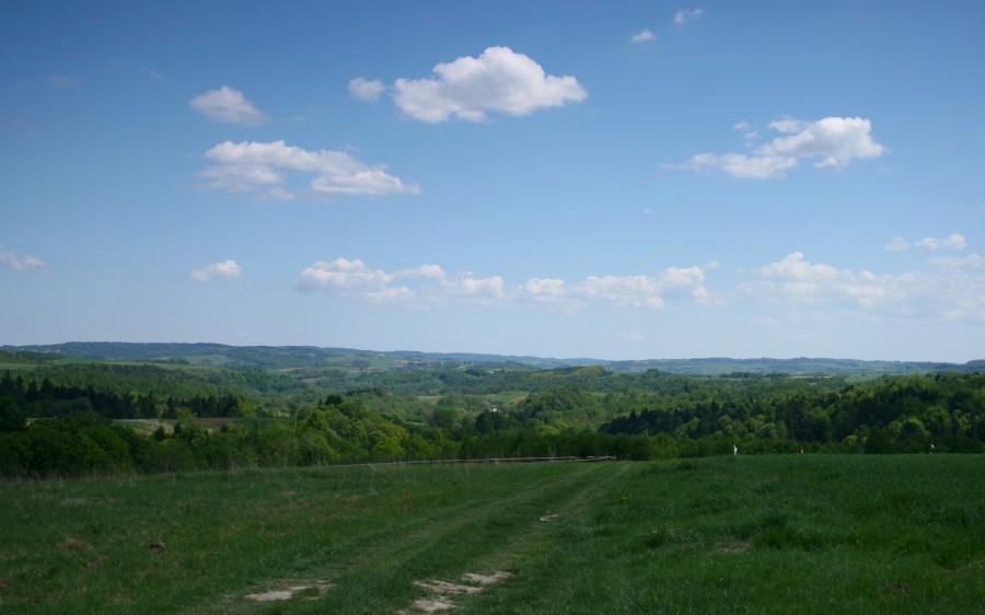 Widok na Pogórze Dynowskie