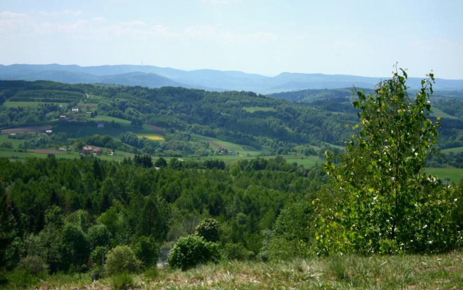 Widok ze szczytu w stronę Parku Krajobrazowego
