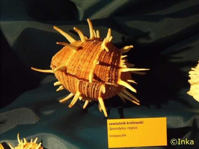 Muzeum Powstań Śląskich