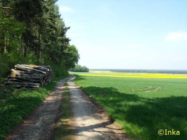 Droga do Kamienia Śląskiego