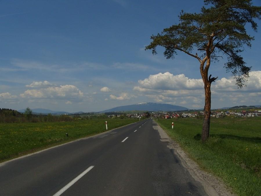 cycek Babiej w oddali