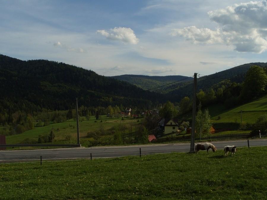 Przełęcz Przysłop i rzut oka w Dolinę Kamienicy w stronę Przełęczy Borek