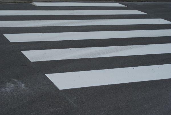 i zebra się znalazła