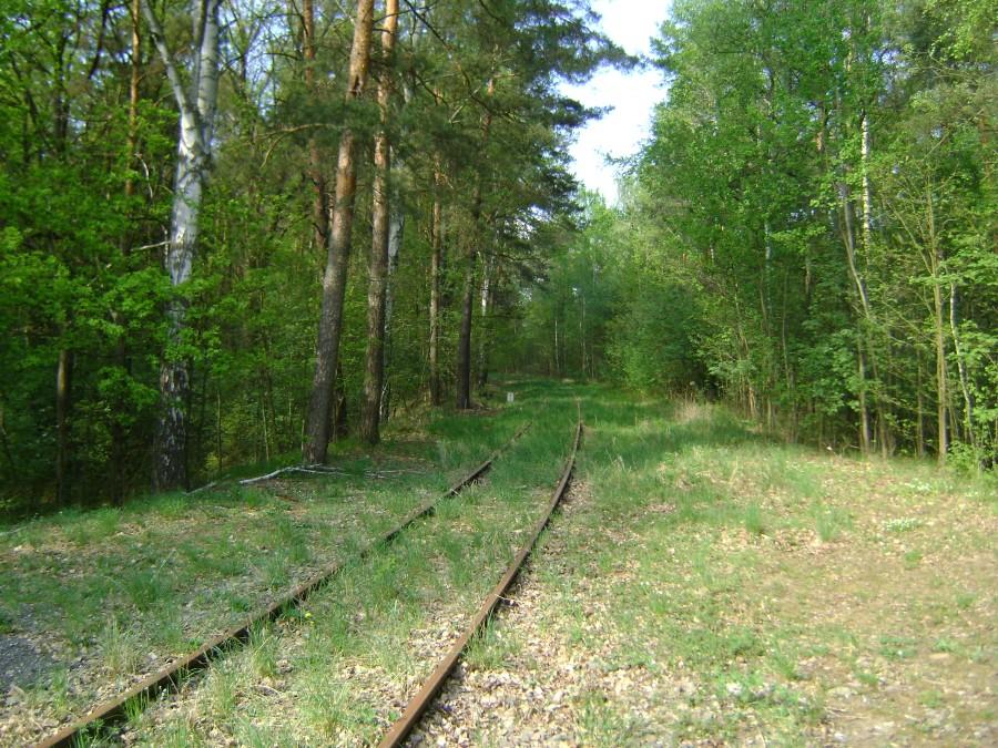 Linia kolejowa nr 44 (Mikołajów-Regny) znów przejezdna od niedawna