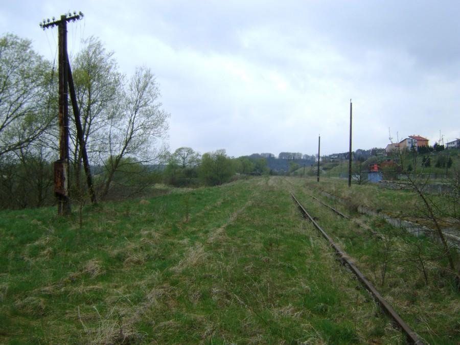 Zarośnięte torowisko w Gniewie