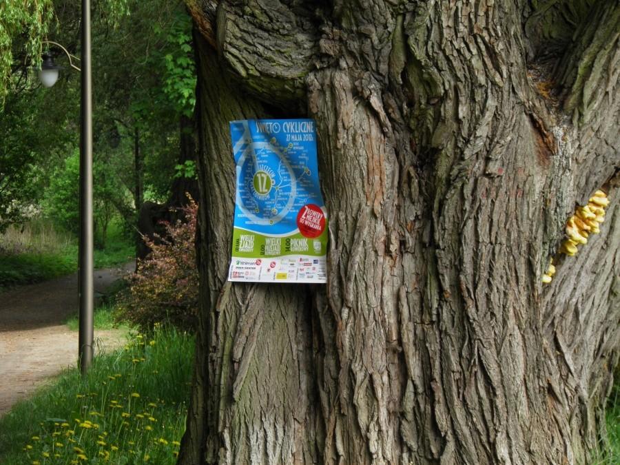 Plakatowe przypomnienie o Cyklicznym Święcie.