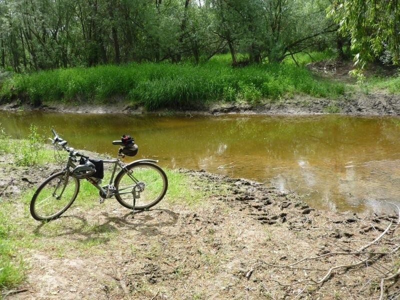 Dobre miejsce do ochłody, trochę wiślanej wody