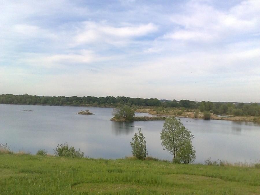Polder Buków , okolice Roszkowa.