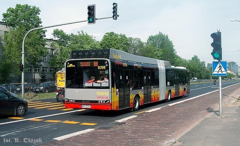 Hybrydowy szarak