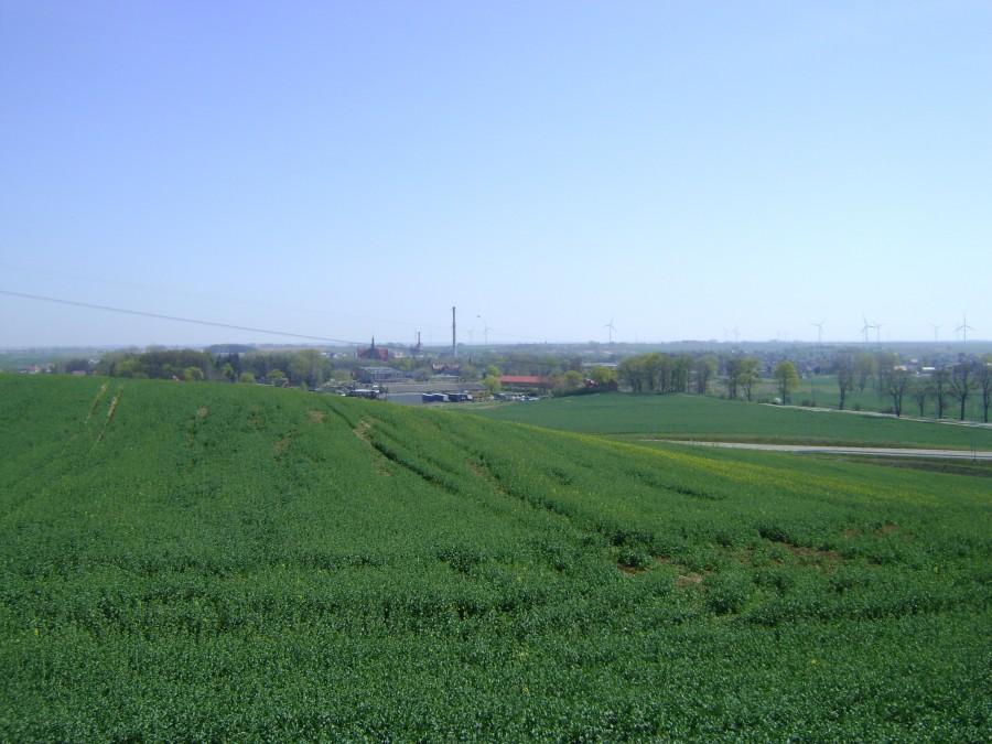 Pelplin w oddali